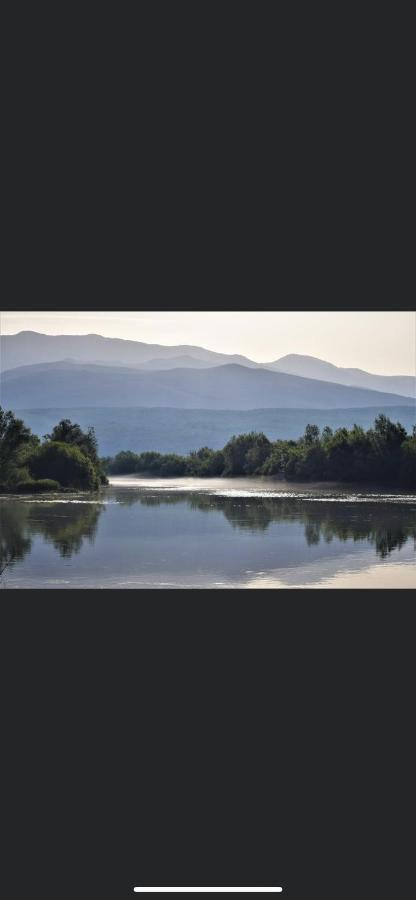 Luxury Apartment Knezovic Sinj Bagian luar foto